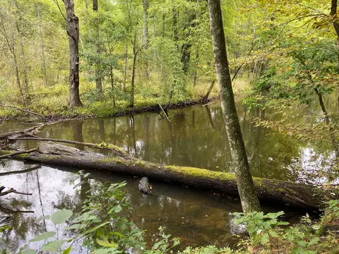 5500 W Long Lake Rd, Belding, MI 48809 photo 7