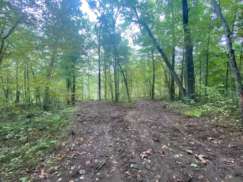 5500 W Long Lake Rd, Belding, MI 48809 photo 5