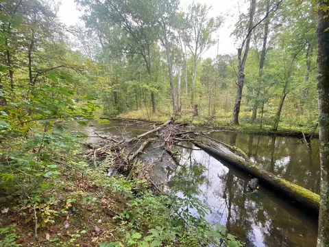 5500 W Long Lake Rd, Belding, MI 48809 photo 8