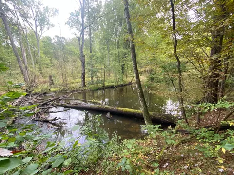 5500 W Long Lake Rd, Belding, MI 48809 photo 6