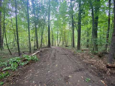 5500 W Long Lake Rd, Belding, MI 48809 photo 4