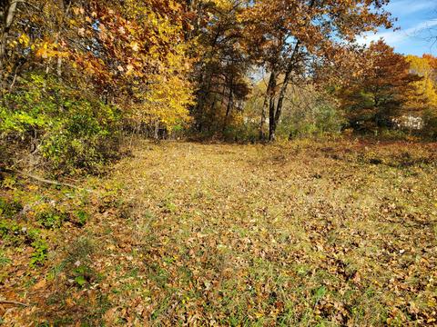 21936 Marcellus Rd, Three Rivers, MI 49093 photo 5