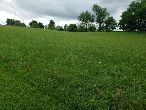 Green Meadows Lane, Jones, MI 49061