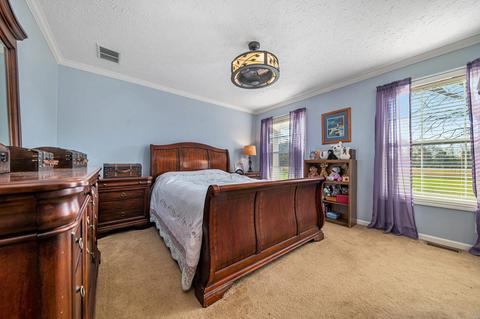 19605 36th St, Gobles, MI 49055 photo 10
