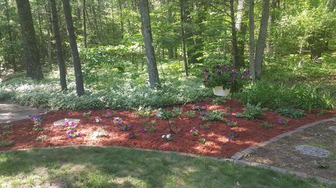 6888 Blank Rd, Whitehall, MI 49461 photo 61