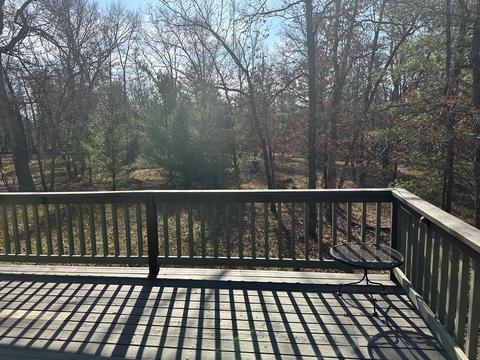 7516 W Wingleton Rd, Baldwin, MI 49304 photo 57