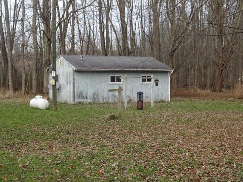 14742 Moore Rd, Bailey, MI 49303 photo 20
