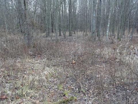 14742 Moore Rd, Bailey, MI 49303 photo 24