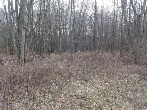 14742 Moore Rd, Bailey, MI 49303 photo 23
