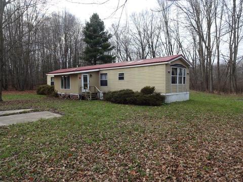 14742 Moore Rd, Bailey, MI 49303 photo 2