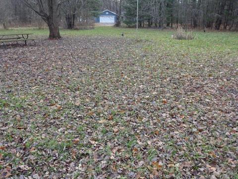 14742 Moore Rd, Bailey, MI 49303 photo 22
