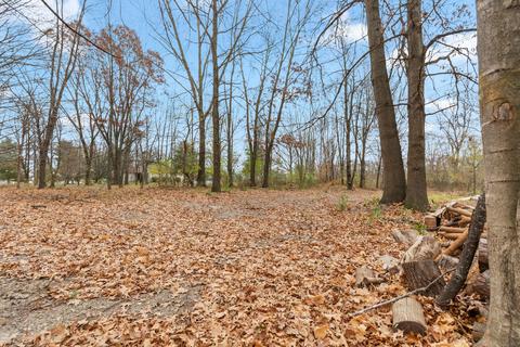 0 Sutfin Rd, Jerome, MI 49249 photo 5