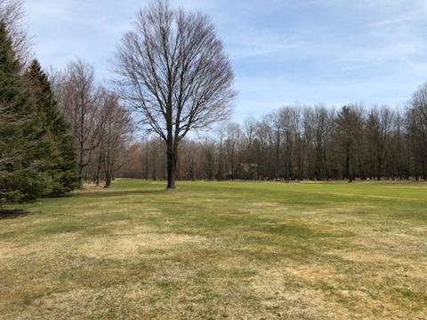 9429 Sunset Dr, Canadian Lakes, MI 49346