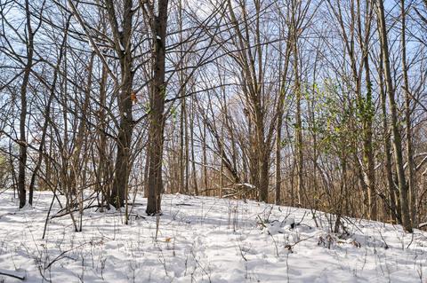 00 E 6 Mile Rd, White Cloud, MI 49349 photo 19
