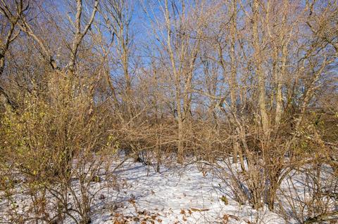 00 E 6 Mile Rd, White Cloud, MI 49349 photo 17