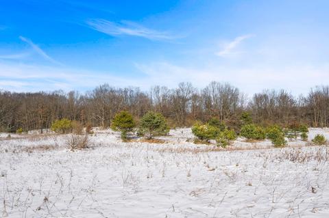 00 E 6 Mile Rd, White Cloud, MI 49349 photo 5