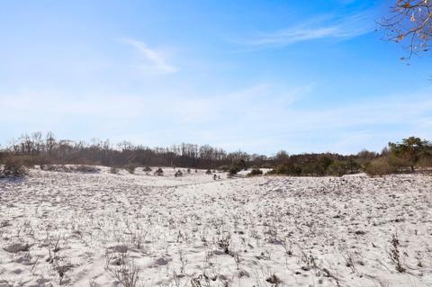 00 E 6 Mile Rd, White Cloud, MI 49349 photo 6