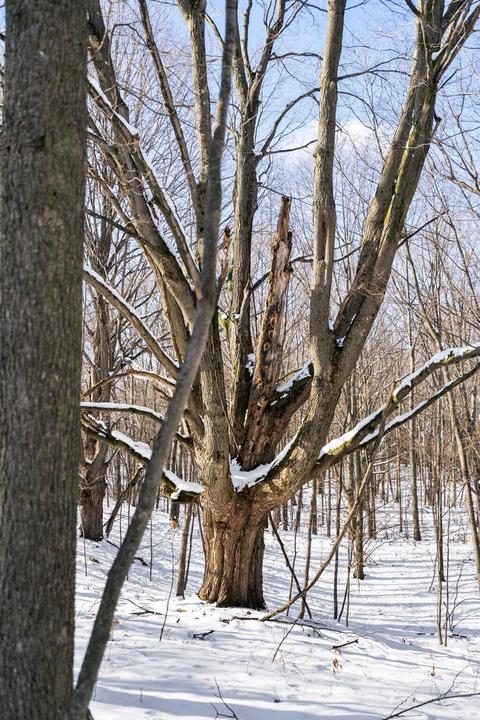 00 E 6 Mile Rd, White Cloud, MI 49349 photo 16