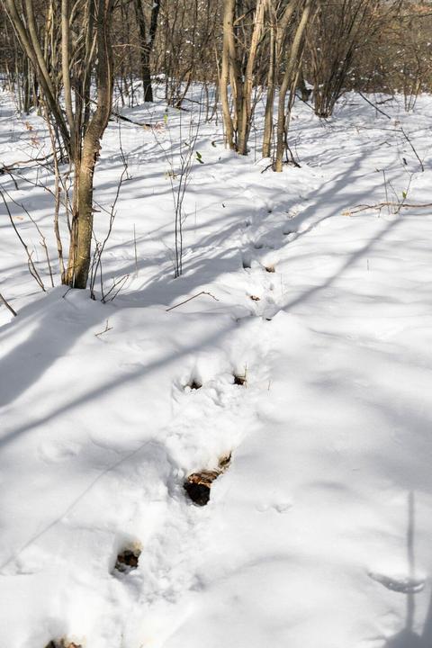 00 E 6 Mile Rd, White Cloud, MI 49349 photo 18