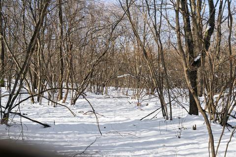 00 E 6 Mile Rd, White Cloud, MI 49349 photo 11
