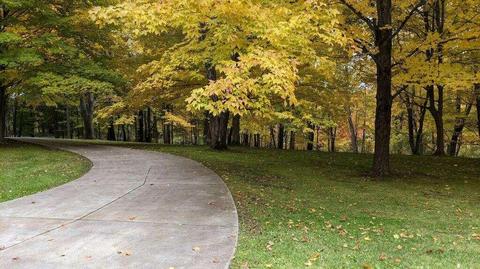 9875 Foreman St SE, Ada, MI 49301 photo 43