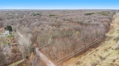9875 Foreman St SE, Ada, MI 49301 photo 28