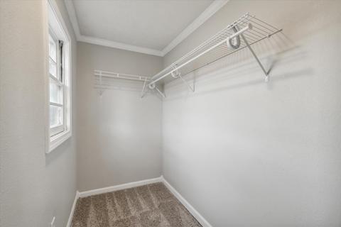 6401 Seymour Rd, Jackson, MI 49201 photo 23