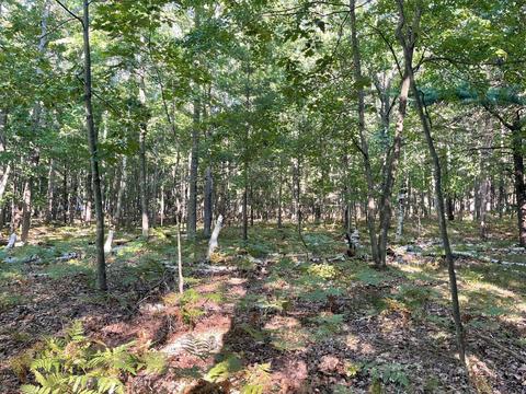 V/l Old Free Soil Road, Free Soil, MI 49411