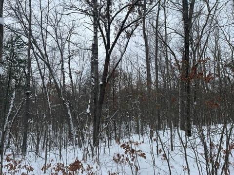 5646 E 68th St, Chase, MI 49623 photo 4