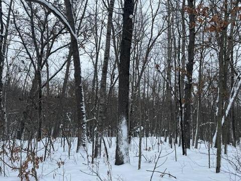 5646 E 68th St, Chase, MI 49623 photo 3