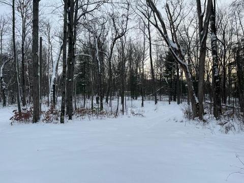 5646 E 68th St, Chase, MI 49623 photo 21