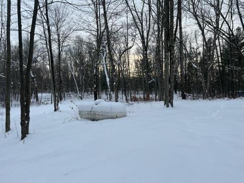 5646 E 68th St, Chase, MI 49623 photo 13