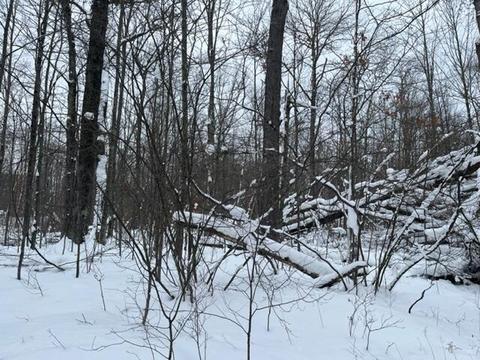 5646 E 68th St, Chase, MI 49623 photo 7