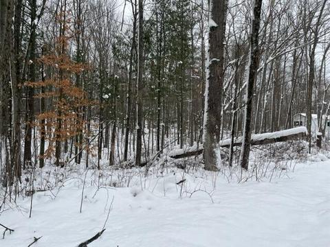 5646 E 68th St, Chase, MI 49623 photo 23