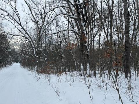 5646 E 68th St, Chase, MI 49623 photo 2