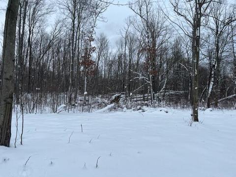 5646 E 68th St, Chase, MI 49623 photo 15
