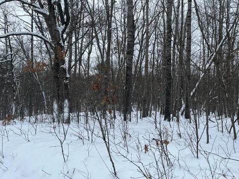 5646 E 68th St, Chase, MI 49623 photo 1