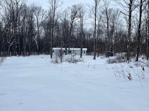 5646 E 68th St, Chase, MI 49623 photo 8
