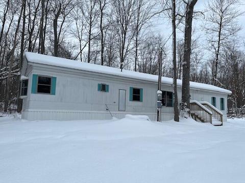 5646 E 68th St, Chase, MI 49623 photo 10