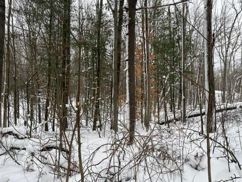 5646 E 68th St, Chase, MI 49623 photo 24