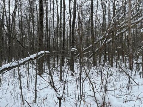 5646 E 68th St, Chase, MI 49623 photo 20