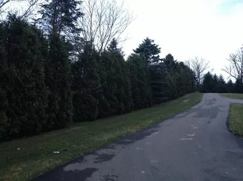 8811 Macon Rd, Saline, MI 48176 photo 10