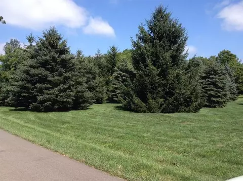 8811 Macon Rd, Saline, MI 48176 photo 3