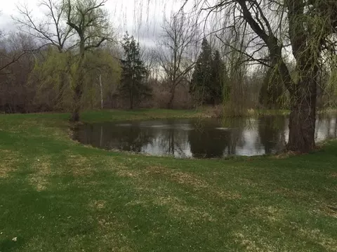 8811 Macon Rd, Saline, MI 48176 photo 7