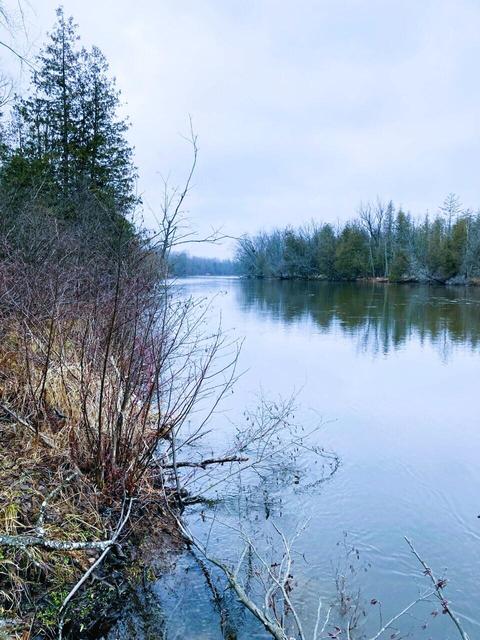 Vl S River Road, Evart, MI 49631