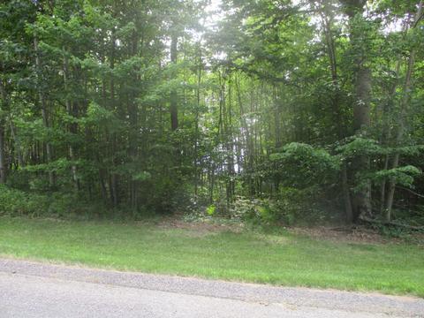 Emerald Ridge Lot #13, Onekama, MI 49675