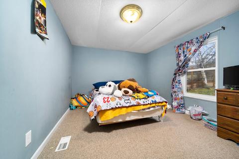 14830 20th Ave, Remus, MI 49340 photo 19