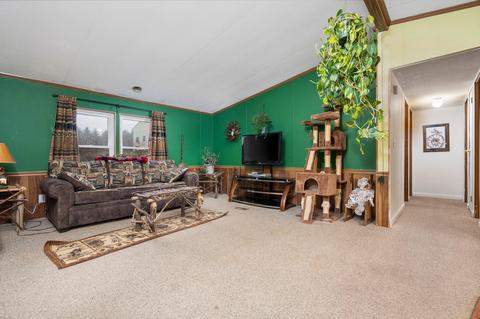 14830 20th Ave, Remus, MI 49340 photo 9
