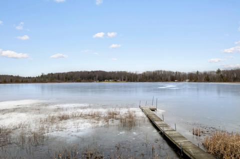 14830 20th Ave, Remus, MI 49340 photo 41