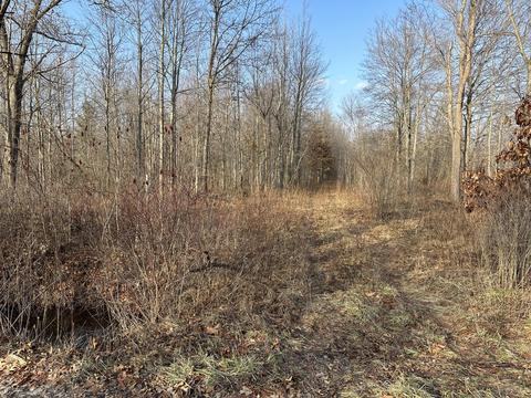 Vl 108th Avenue, Pullman, MI 49450